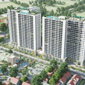 BÁN XUẤT NGOẠI GIAO CHUNG CƯ BÌNH AN PLAZA THANH HÓA